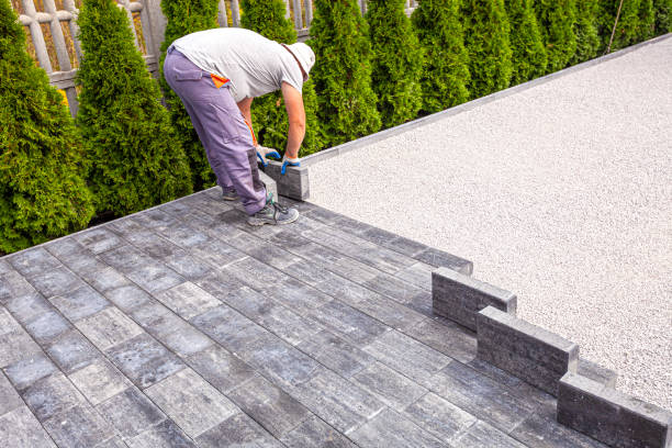 Best Driveway Paving Contractor  in Winfield, IL